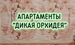Индивидуалка ДИКАЯ ОРХИДЕЯ* Тел. +7 937 567-18-55