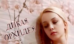 Индивидуалка ДИКАЯ ОРХИДЕЯ* Тел. +7 937 567-18-55